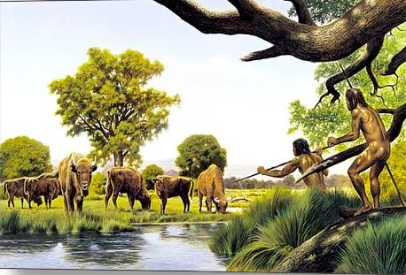 chasse aux bisons
